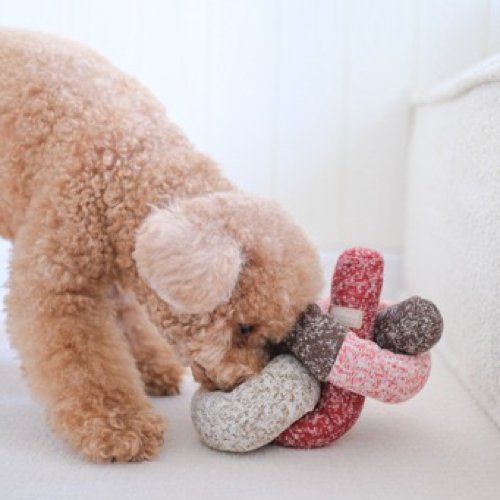 Mushroom Snuffle Toy