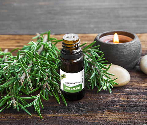 Rosemary Essential Oil