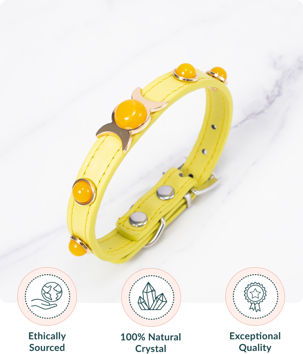 Citrine Pet Collar