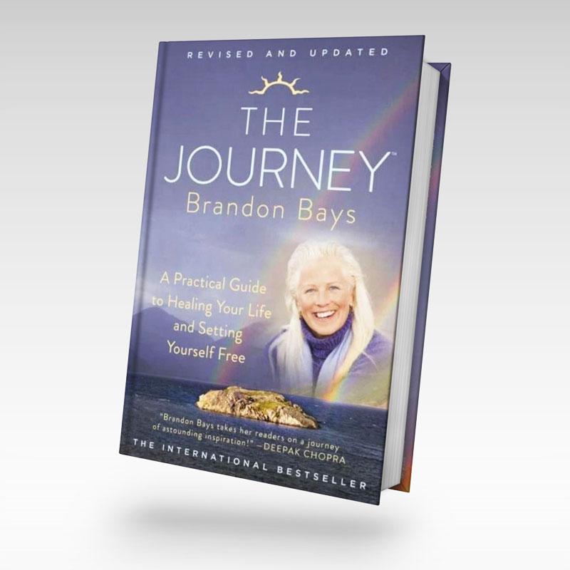 brandon bays journey pdf