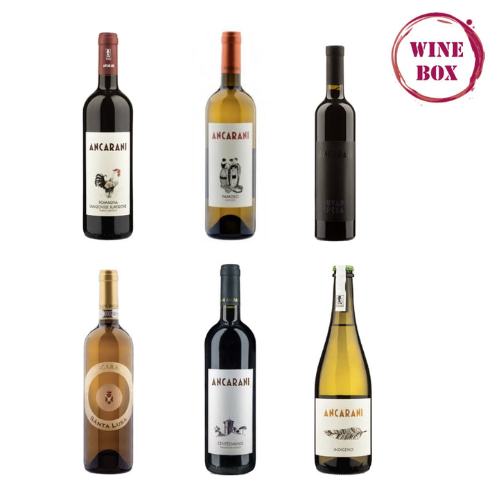 top box wines