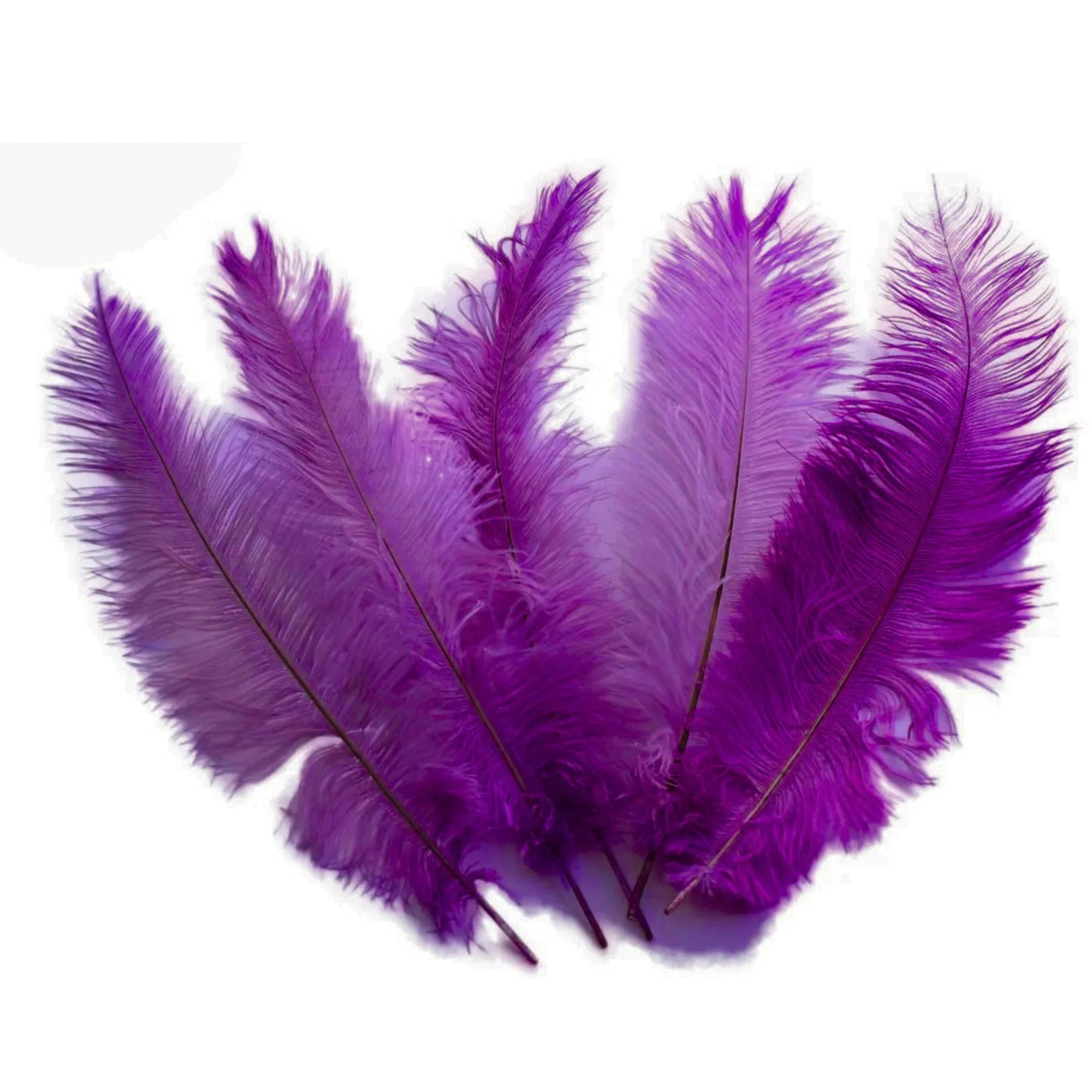 Ostrich Feather Spad Plumes 15-18" (Plum)