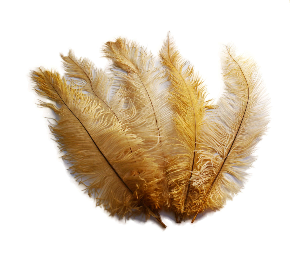 
                  
                    Ostrich Feather Spad Plumes 13-16" (Gold)
                  
                