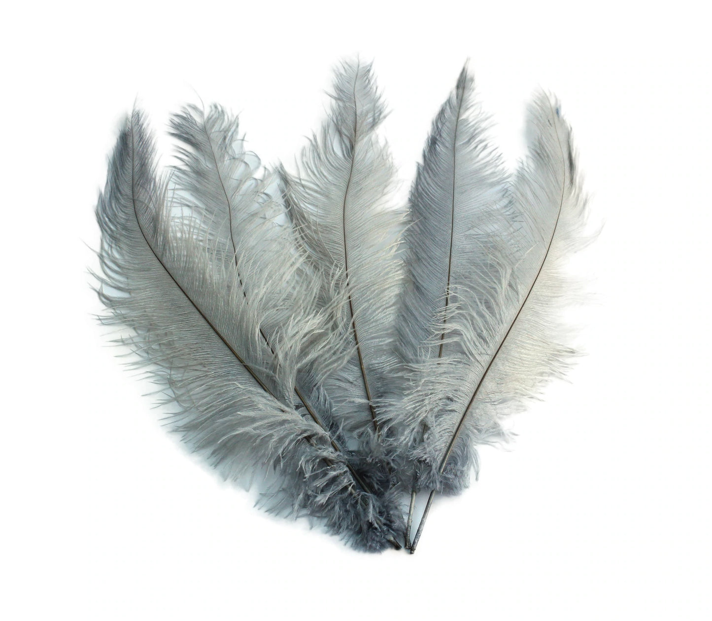 Ostrich Feather Spad Plumes 16-20 (Gold)