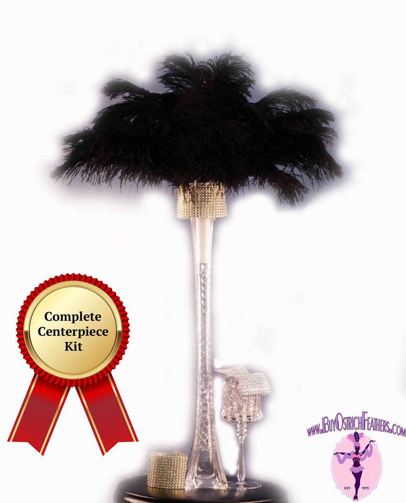 Black Fancy Feathers Vase Kit