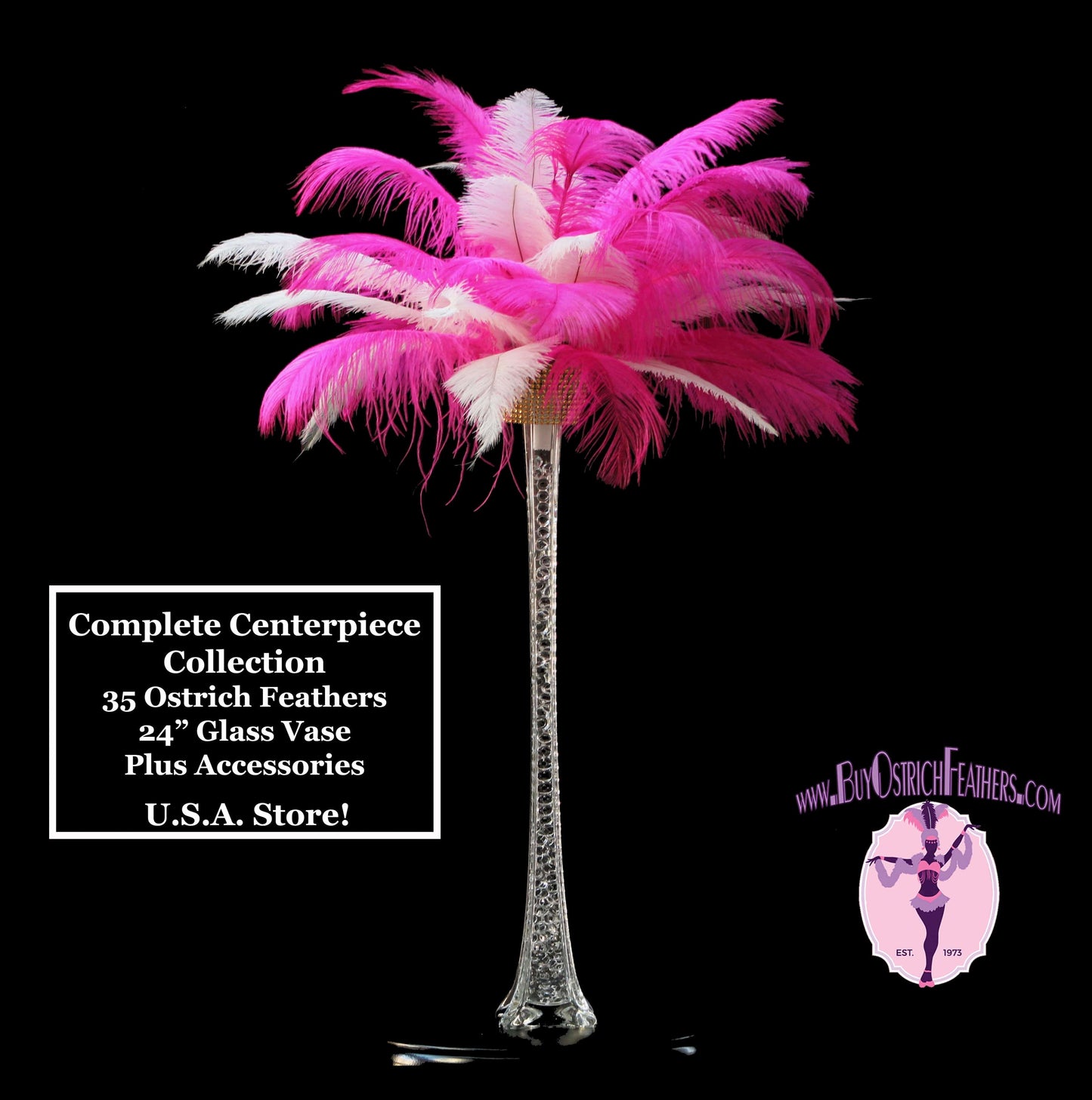 Complete Feather Centerpiece With 16