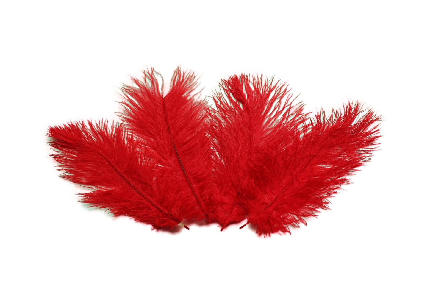 Red Ostrich Feather Male Ostrich Wing Plumes Feathers 24-26 inch 50 Pieces