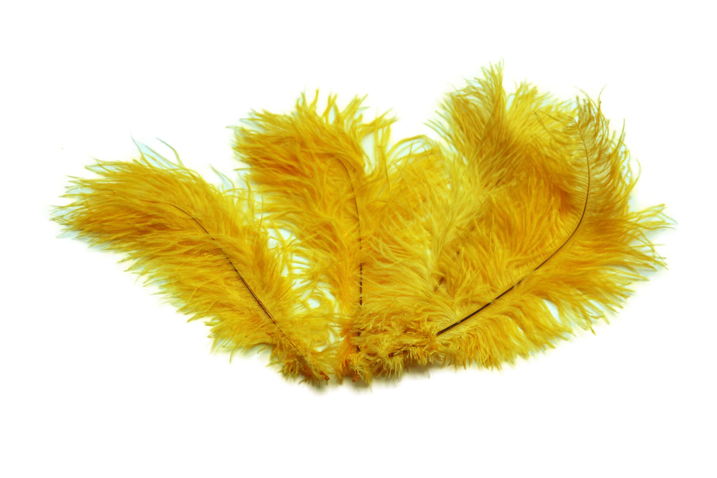 BULK 1/2lb Ostrich Feather Tail Plumes 15-20 (Baby Pink) for Sale Online