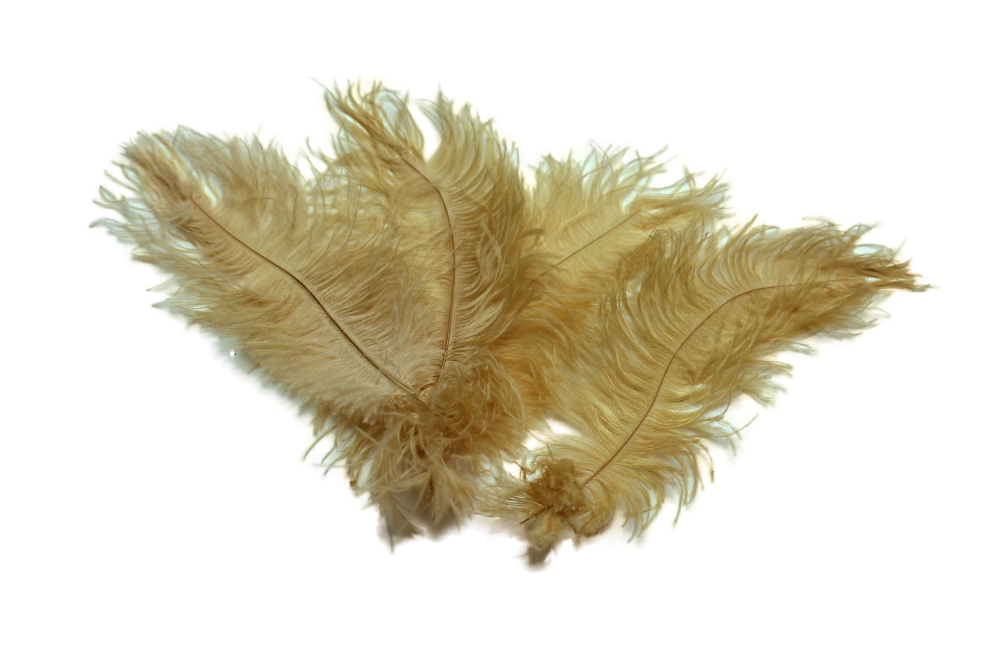 Ostrich Flexible Feathers 9-12 (Golden Yellow) for Sale Online