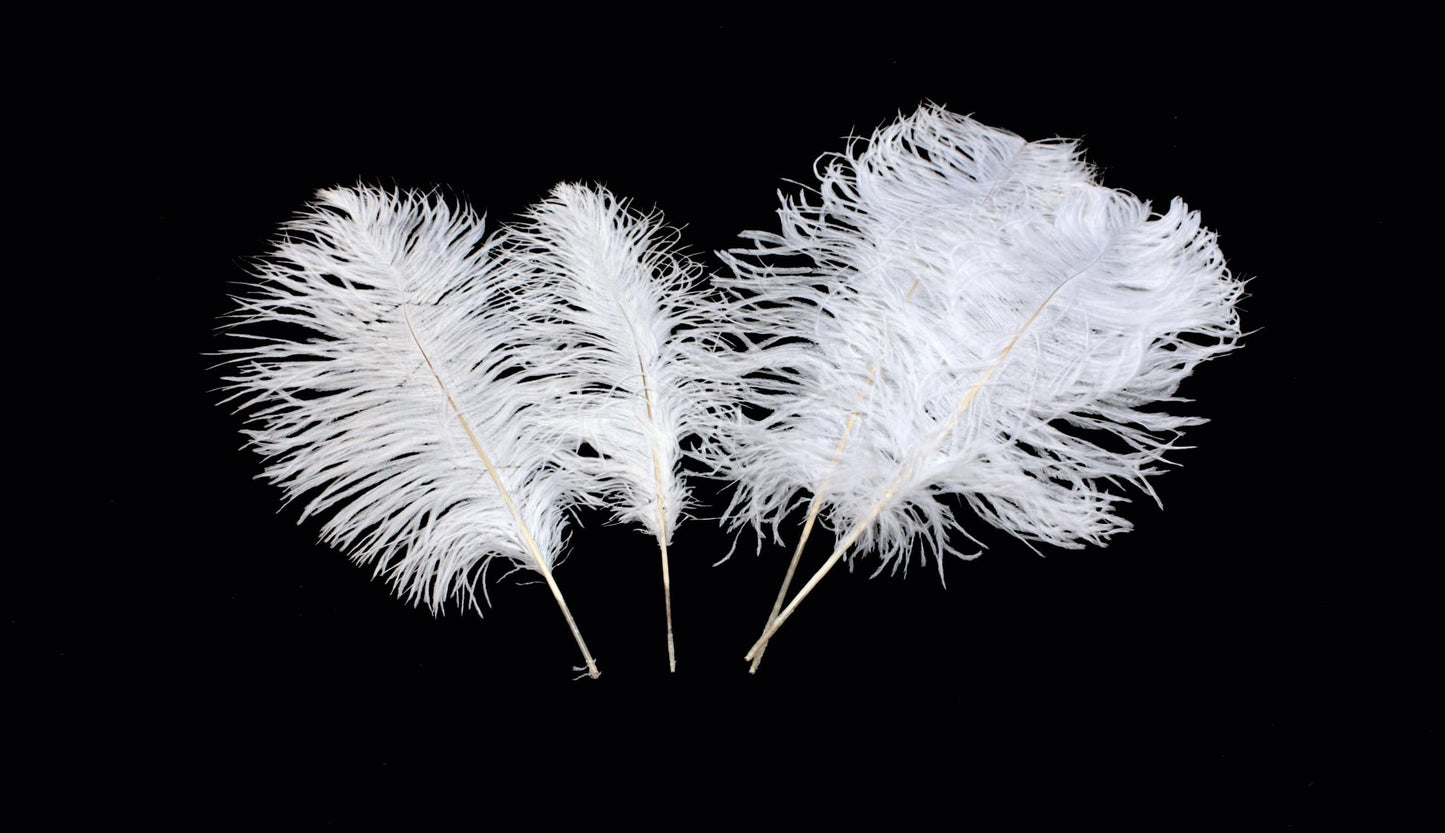 Confetti Craft Ostrich Feathers (White)