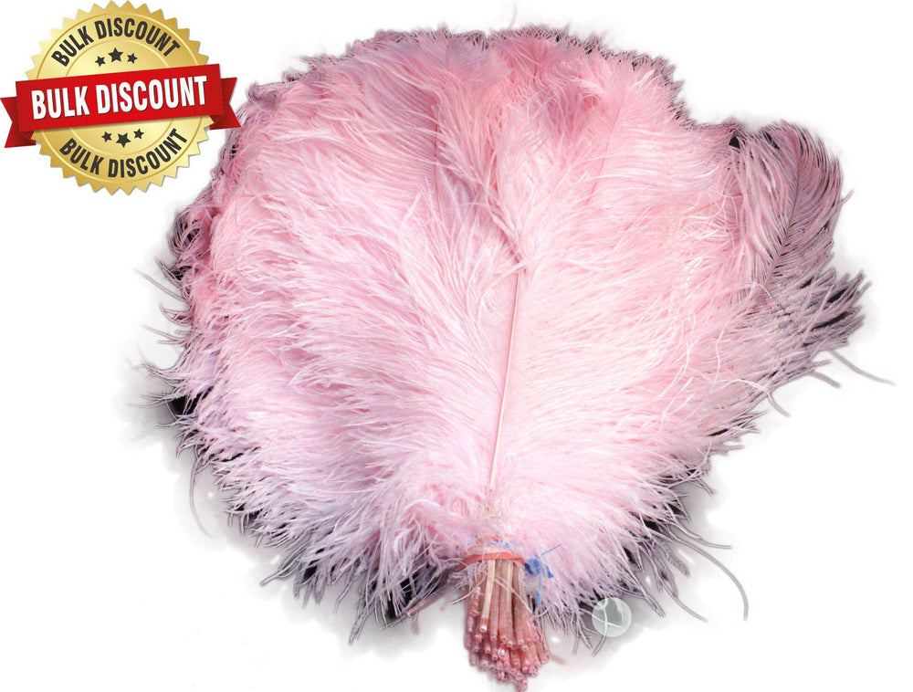 Large Ostrich Feathers - 20-25 Prime Femina Plumes - Shocking