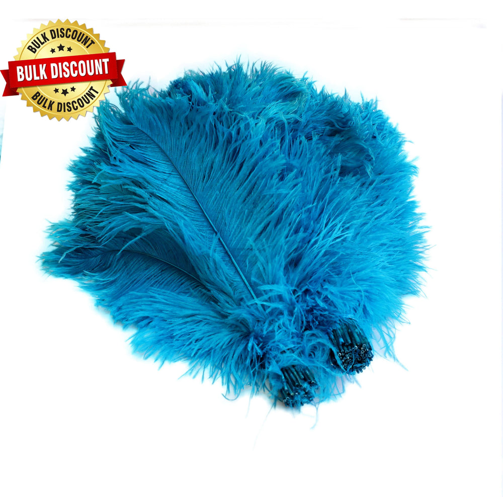 BULK 1/2lb Ostrich Feather Tail Plumes 15-20 (Baby Blue) for Sale