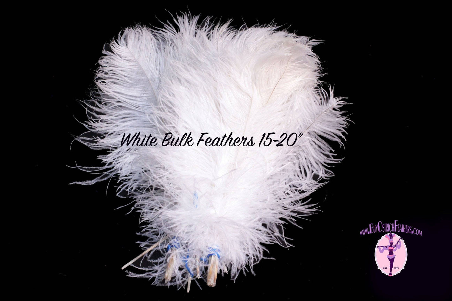 Half Pound 17-20 Inch Ostrich Drabs (75 feathers) 