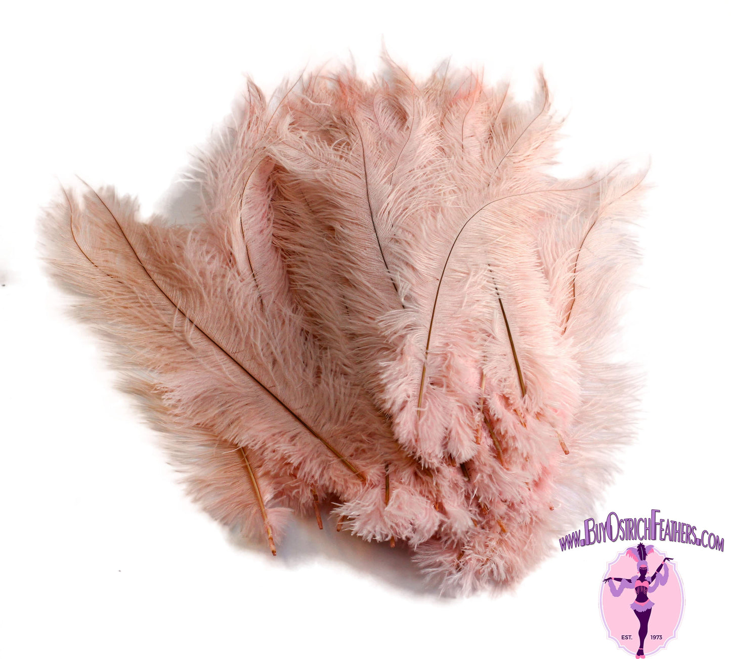 Ostrich Feather Spad Plumes 13-16 (Baby Pink) for Sale Online