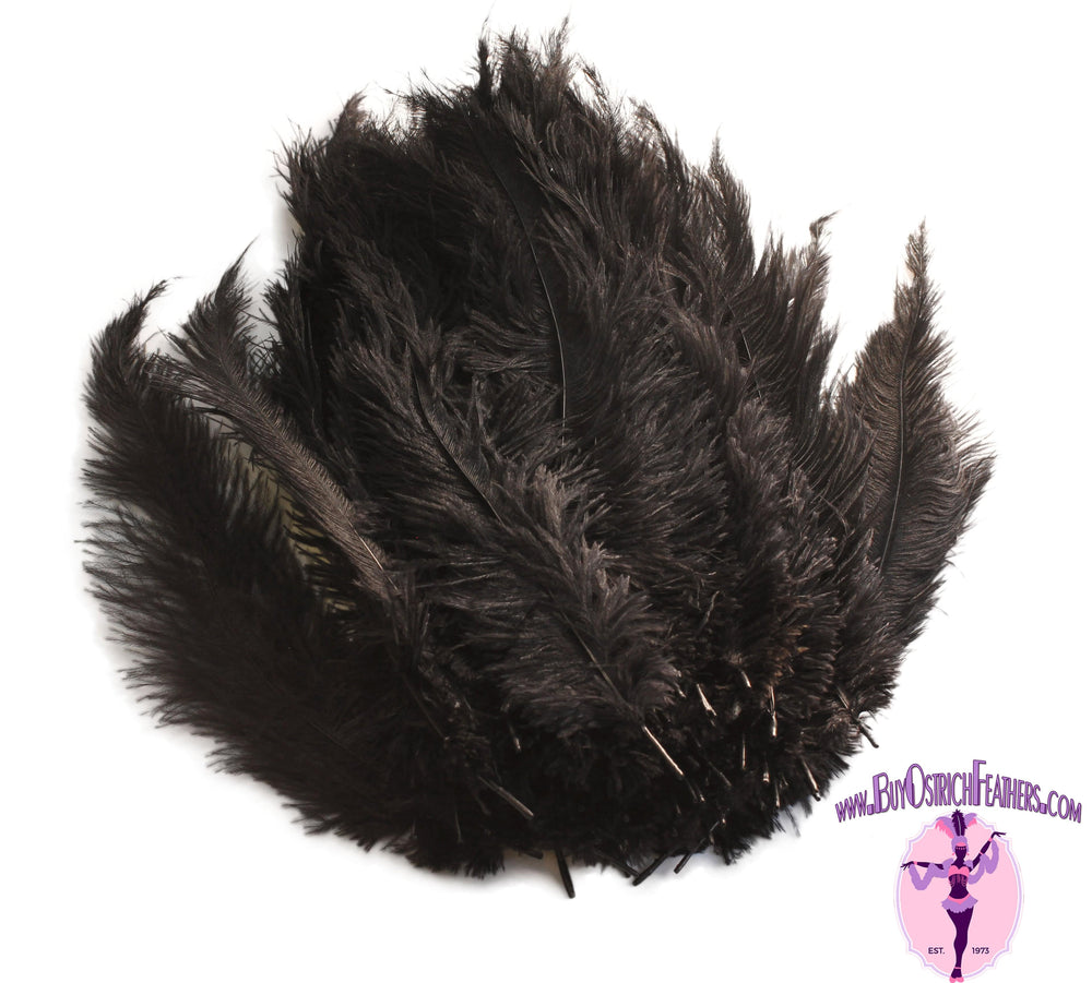 Piokio 20 pcs Natural Black Ostrich Feathers Plumes 8-10 inch(20