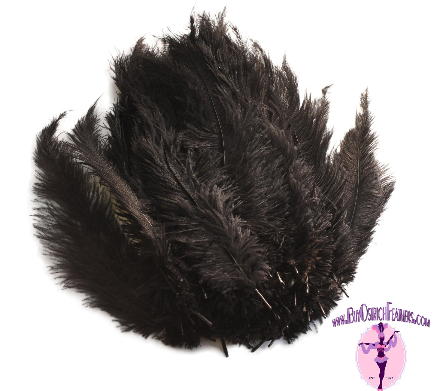 THARAHT Black Ostrich Feathers 12pcs Large Natural Bulk 12-14Inch