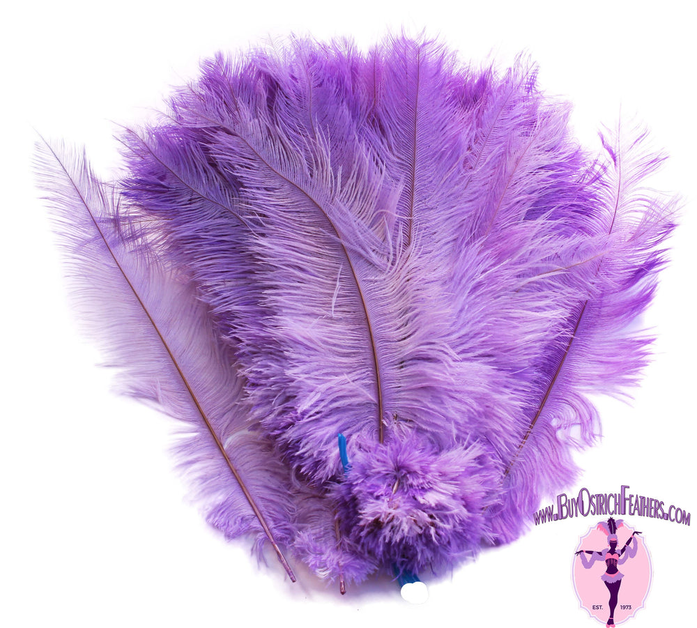 Ostrich Feather Spad Plumes 16-20 (Baby Pink)