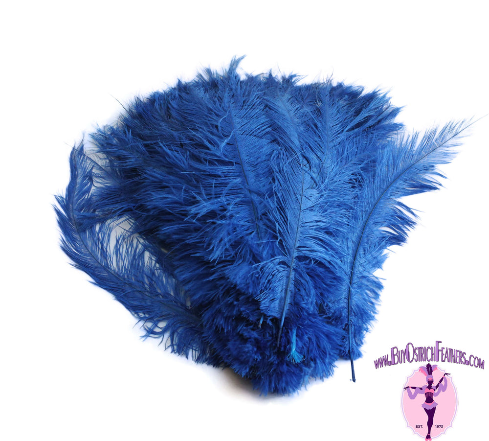 Ostrich Feathers, 100 Pieces 8-10 Turquoise Blue Ostrich Dyed Drab Body Wholesale  Feathers bulk : 2042 -  Denmark