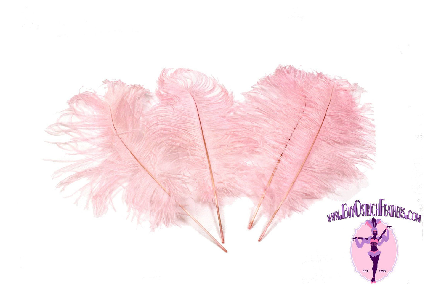 Ostrich Feather Spad Plumes 16-20 (Baby Pink)