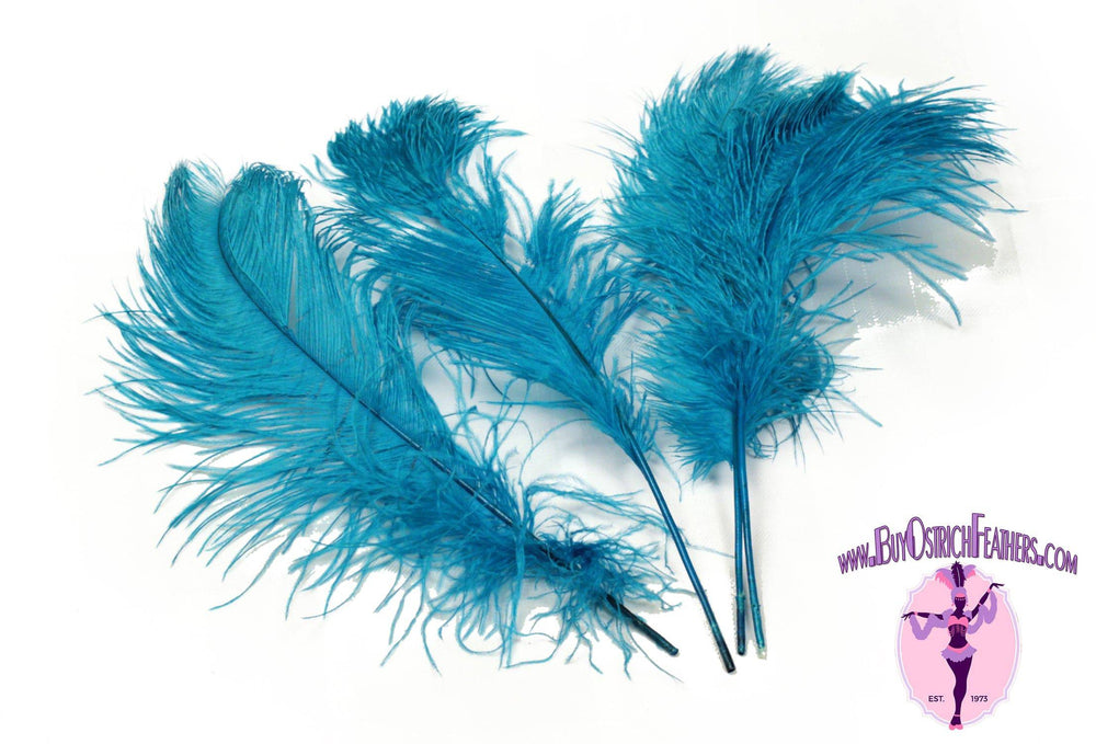 Belagio Ostrich Feather Trim, 6 Wide, Mint