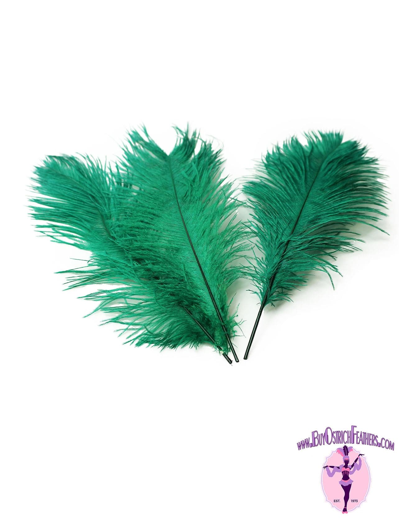 Ostrich Feather Tail Plumes 11-14 (Emerald Green) for Sale Online