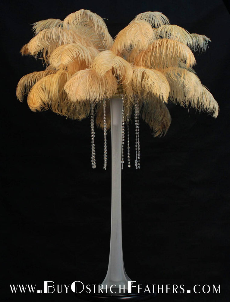 Gold Ostrich Feathers, 10 Pieces 18-24 Antique Gold Large Prime Grade  Ostrich Wing Plume Centerpiece Feathers : 5056 