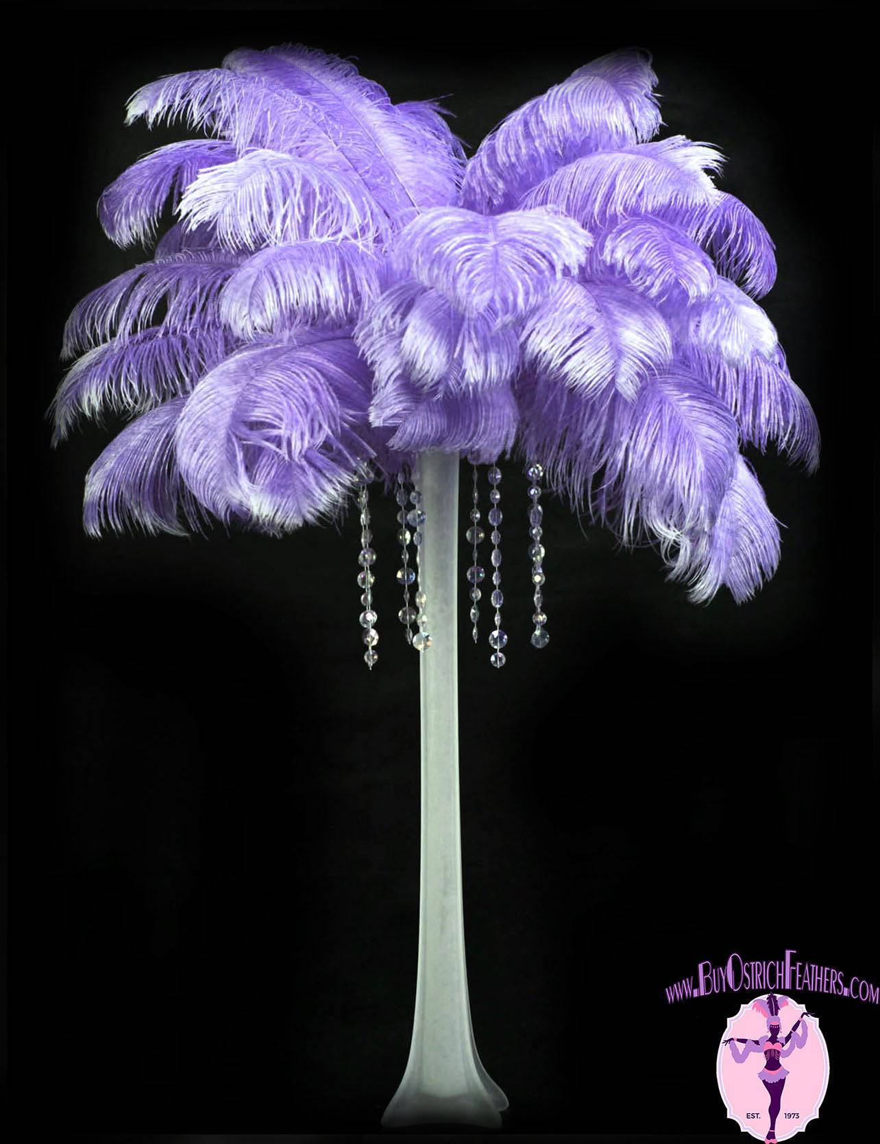 Ostrich Feathers - 16-18 Tail Feathers - Purple