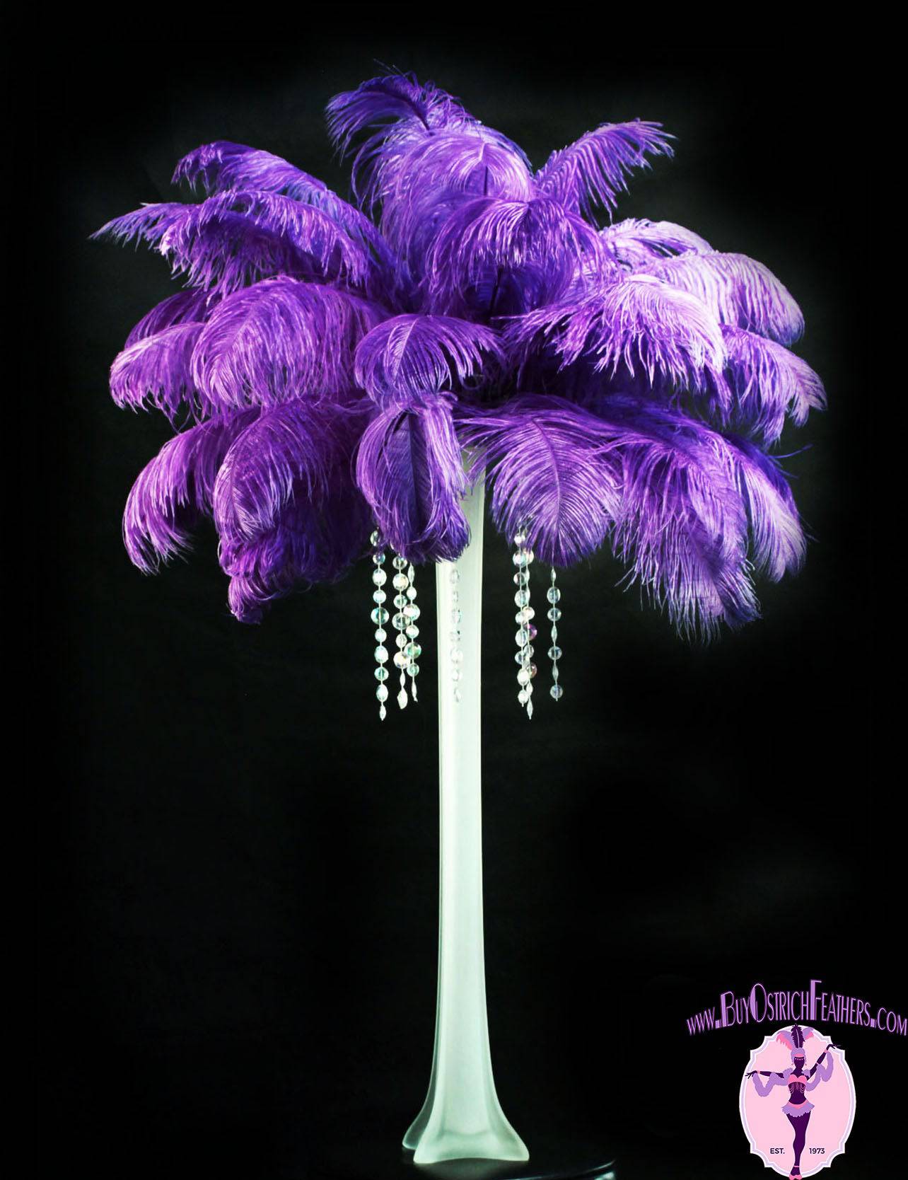 Ostrich Feather Tail Plumes 13-16 (Purple) for Sale Online