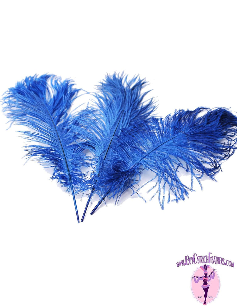 Ostrich Feather Tail Plumes 15-18 (Baby Pink)