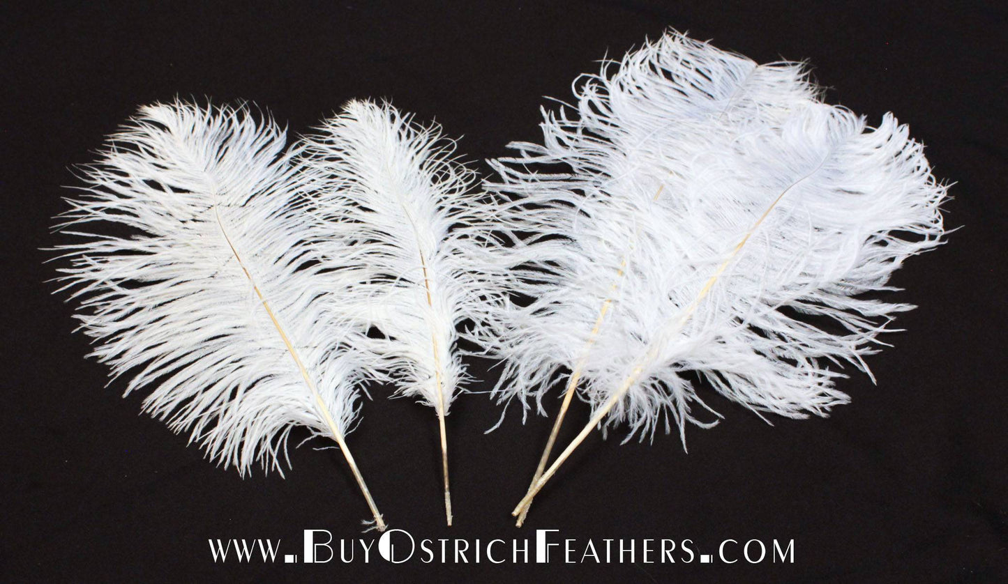 Ostrich Feather Tail Plumes 15-18 (Black) for Sale Online