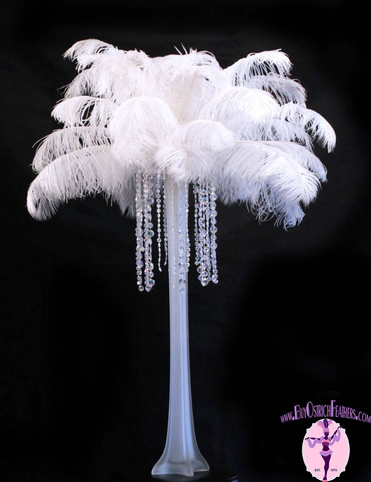 Ostrich Feather Spad Plumes 16-20 (White) for Sale Online