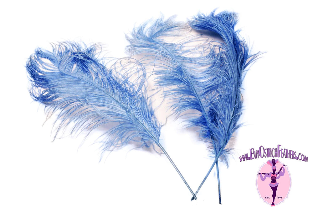 Ostrich Feather Tail Plumes 15-18