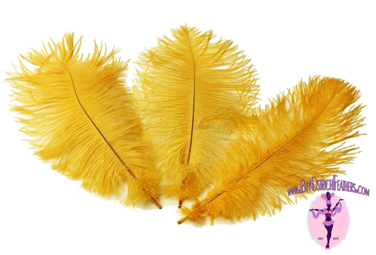 14-16 Ostrich Feathers: Yellow (6)