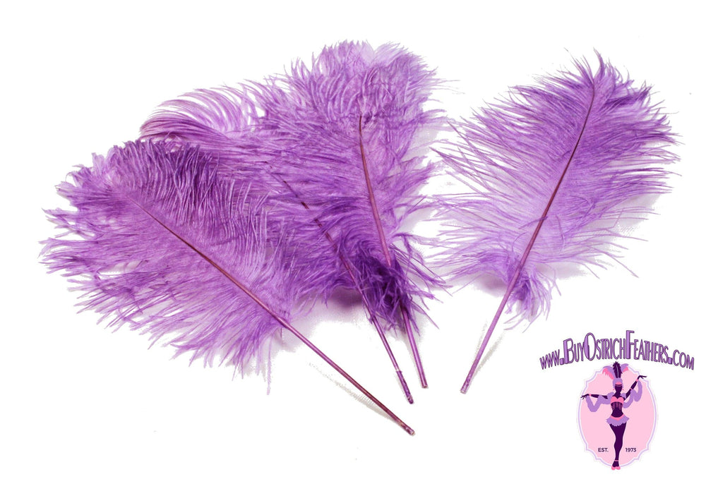 Ostrich Feather Tail Plumes 9-12 (Purple) for Sale Online