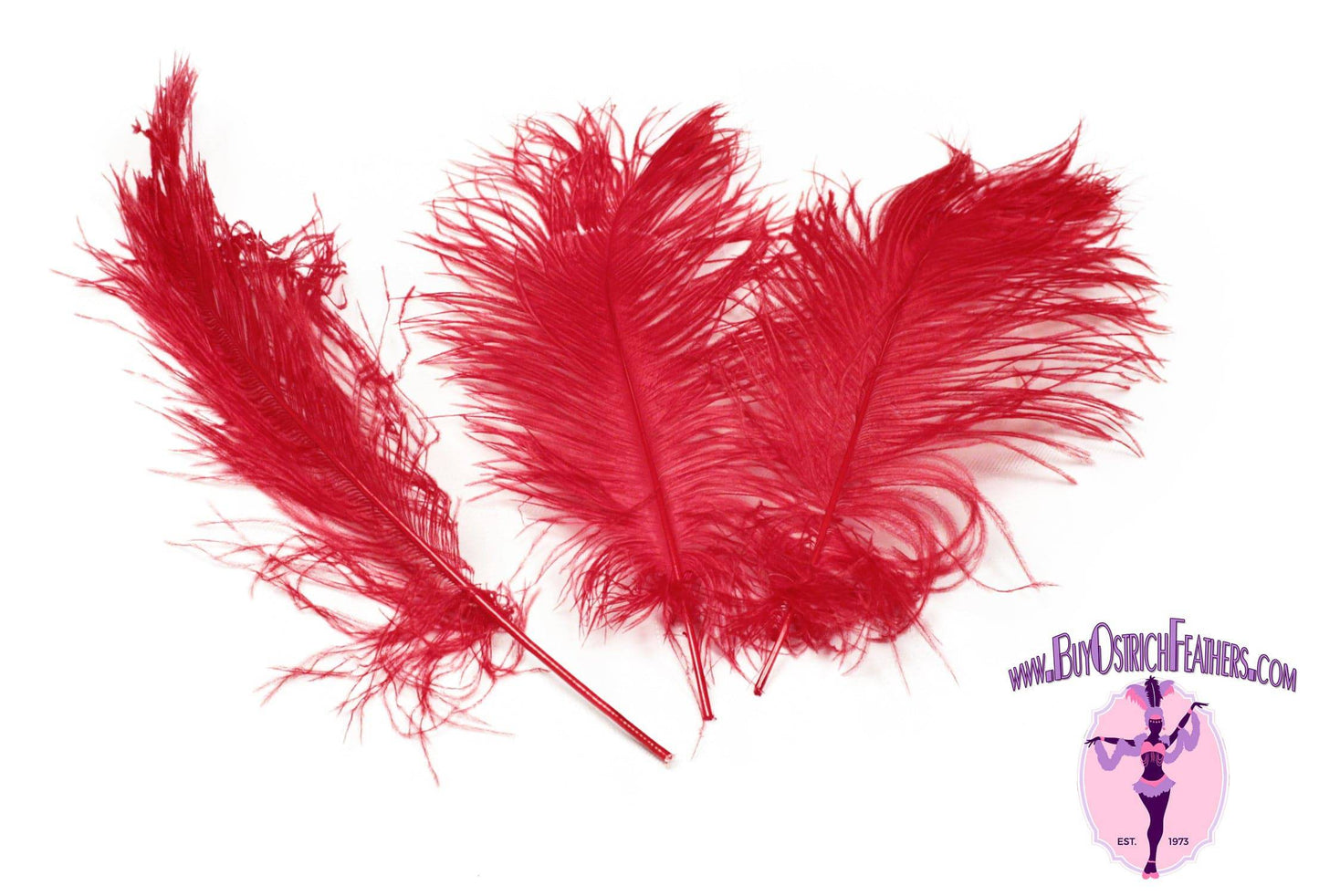 Red Ostrich Feather Male Wing Plumes Large Feathers 24-26 inches 5 Pieces