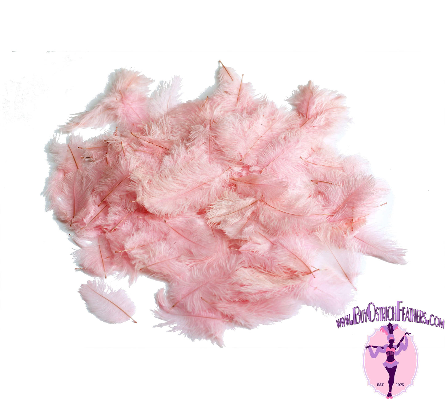 Confetti Craft Ostrich Feathers (White) for Sale Online