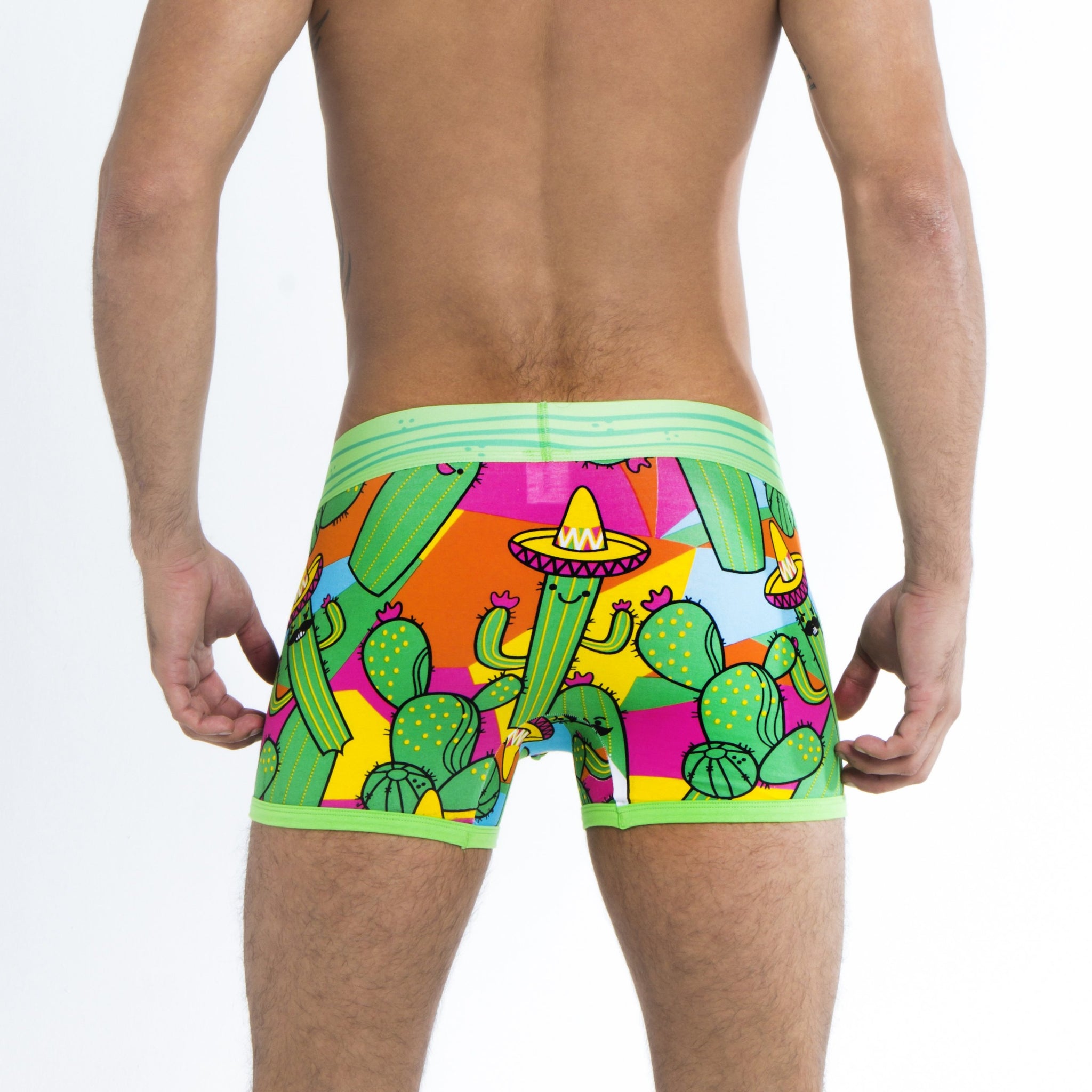 CACTUS Boxer – Discover