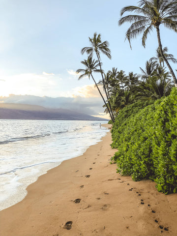 Maui, Hawaii, USA