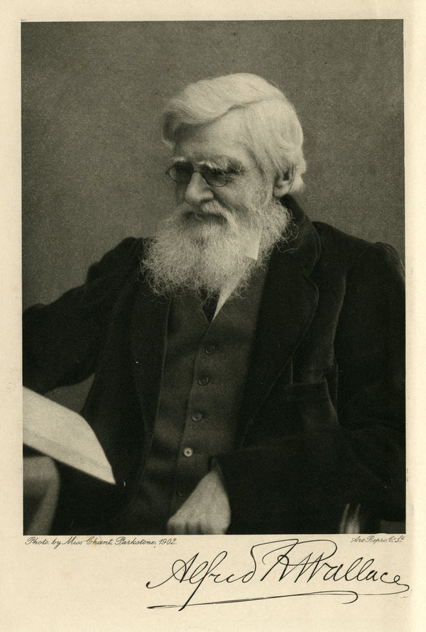 alfred russel wallace