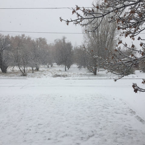 Snowy Outside View