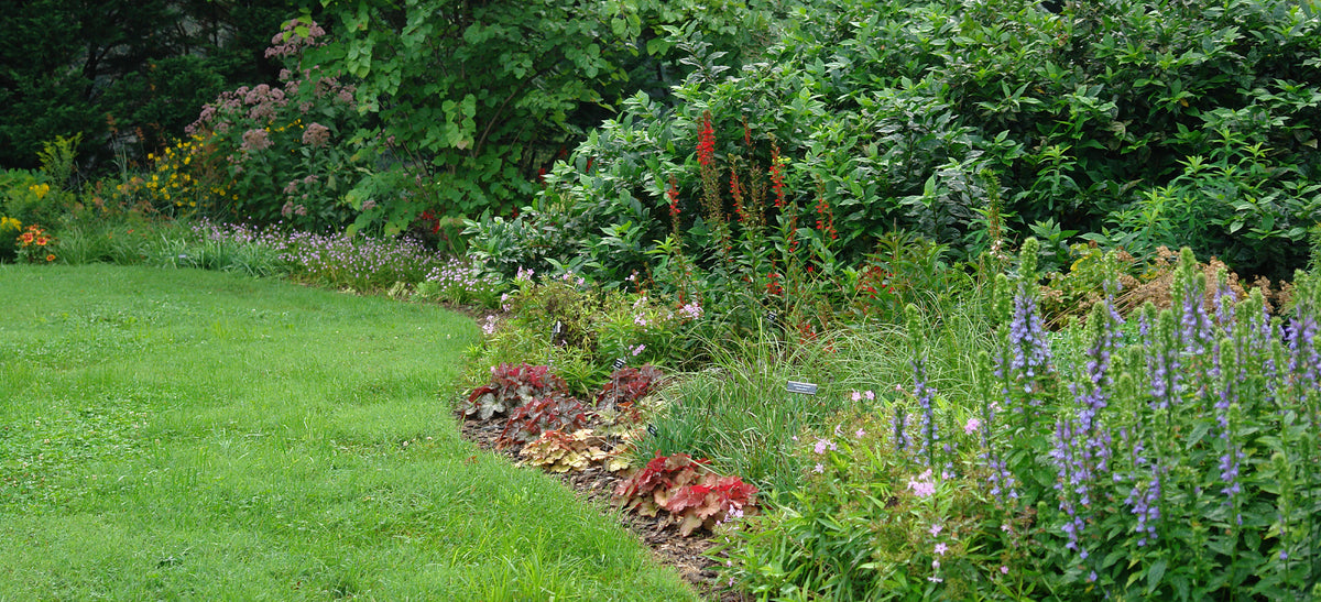 How to Create a Wildlife Habitat – American Beauties Native Plants