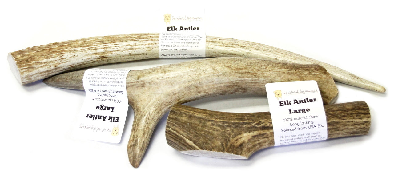 good prices on elk antlers for dogs