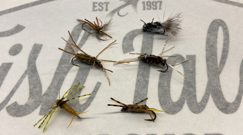 Stonefly Nymphs