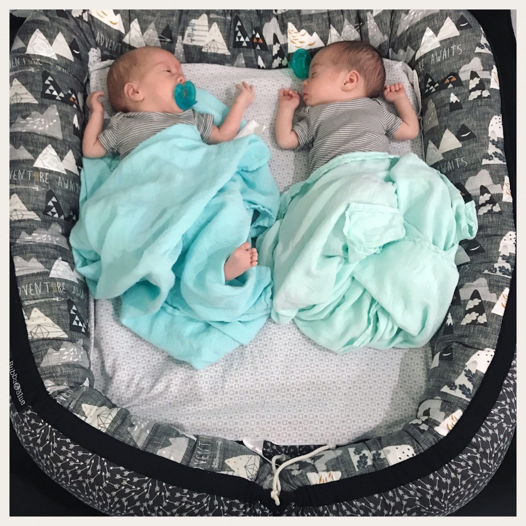 baby nest for twins