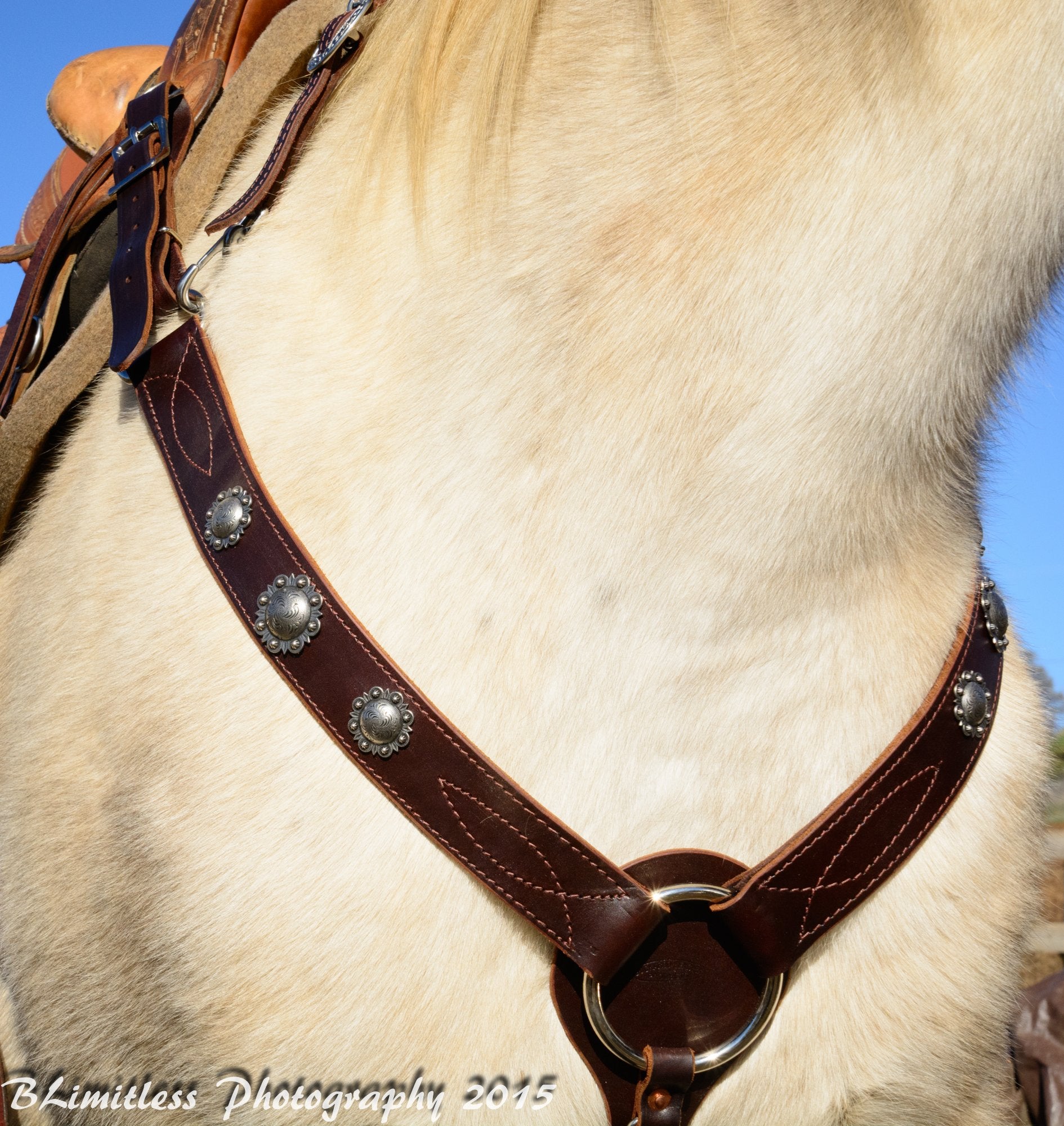 Western Breast Collar Buckaroo Leather Products