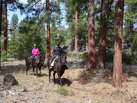 Sisters Cow Camp