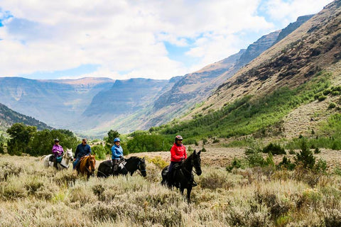 Big Indian Gorge, Steens Mountain