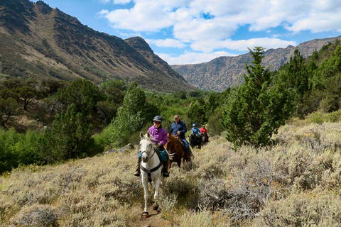 Big Indian Gorge, Steens Mountain