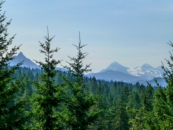 Big Meadows Horse Camp