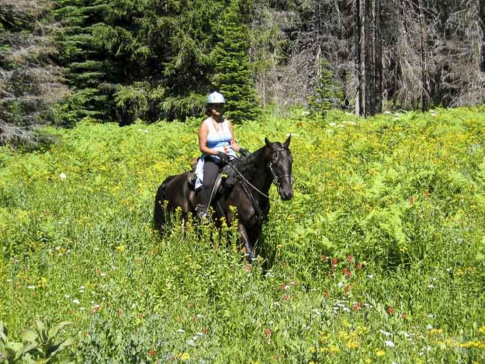 Big Meadows Horse Camp